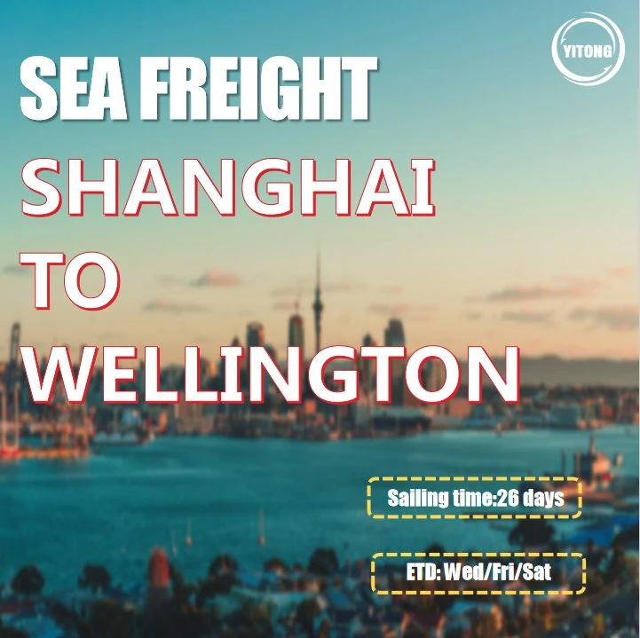 Fret maritime de Shanghai à Wellington Nouvelle-Zélande