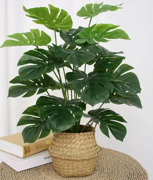 Bosque tropical planta Interior plantas artificiales Bonsai plantas Monstera árboles artificiales Y plantas