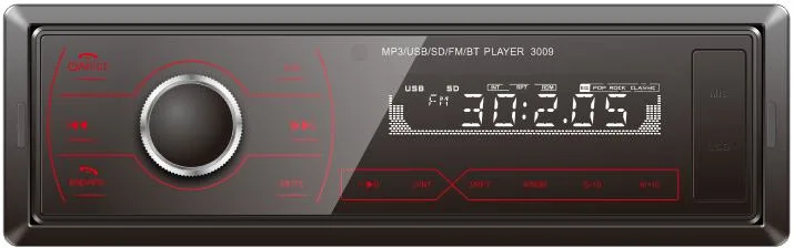 Fest installierter Autorafarreceiver mit 2USB/3009-Eingang