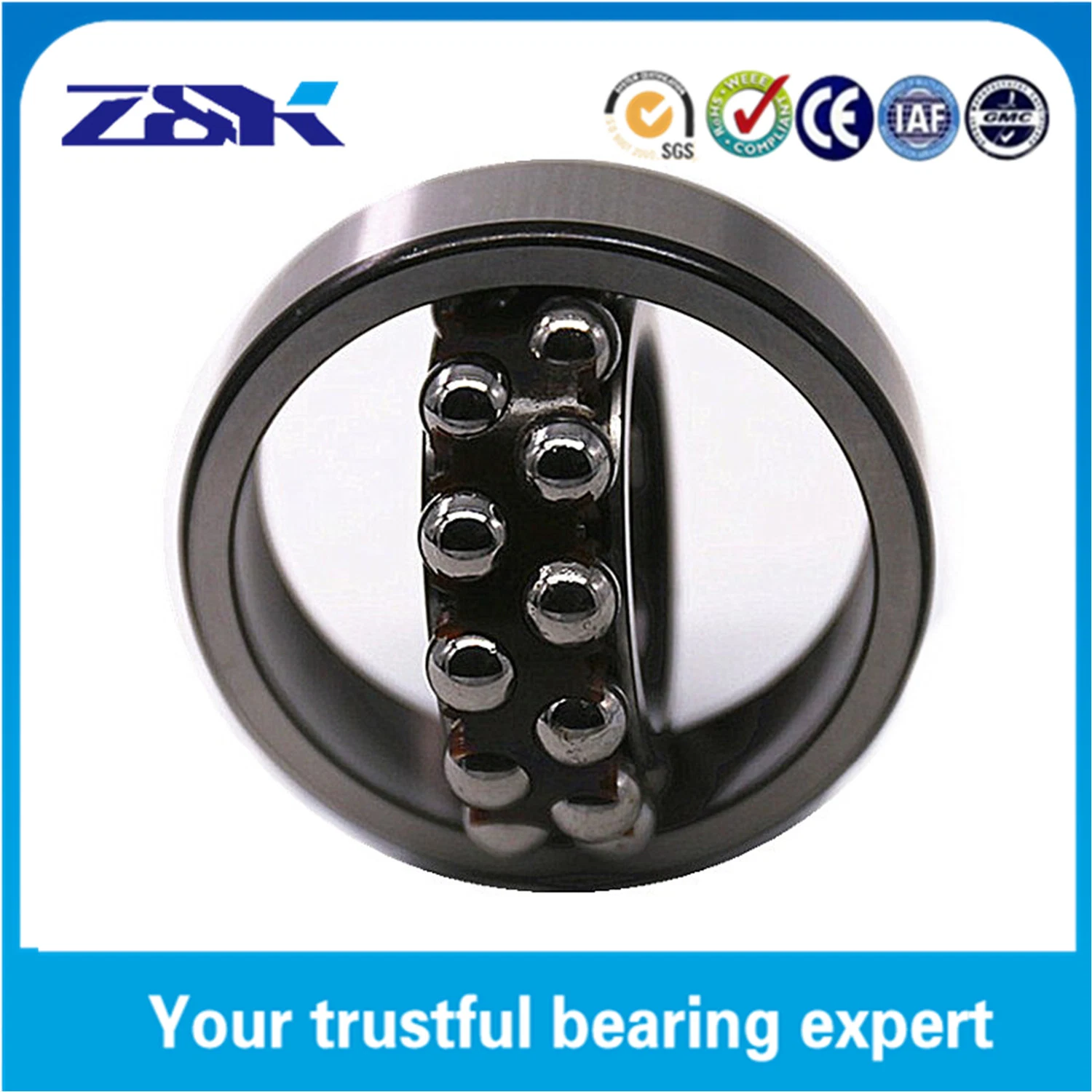 Electric Scooter Parts Tatra Spare Parts Sprag Clutch Bearing