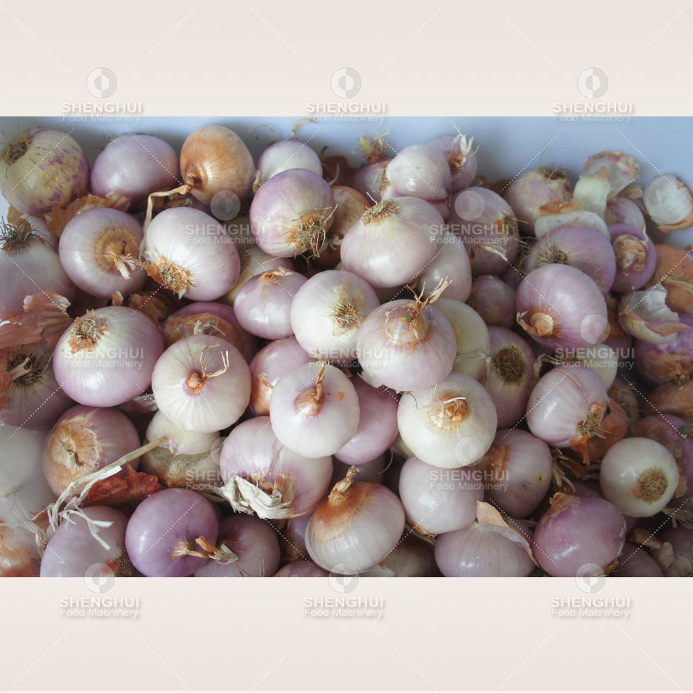 Commercial Onion Peeling Machine Onion Peeler Food Processing Machine Onion Processing Machinery