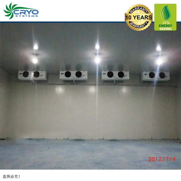 B18 20% Power Saving Potato European Quality Cold Storage for Fruit and Vegetable Warehouse Chiller Room 100t 5c