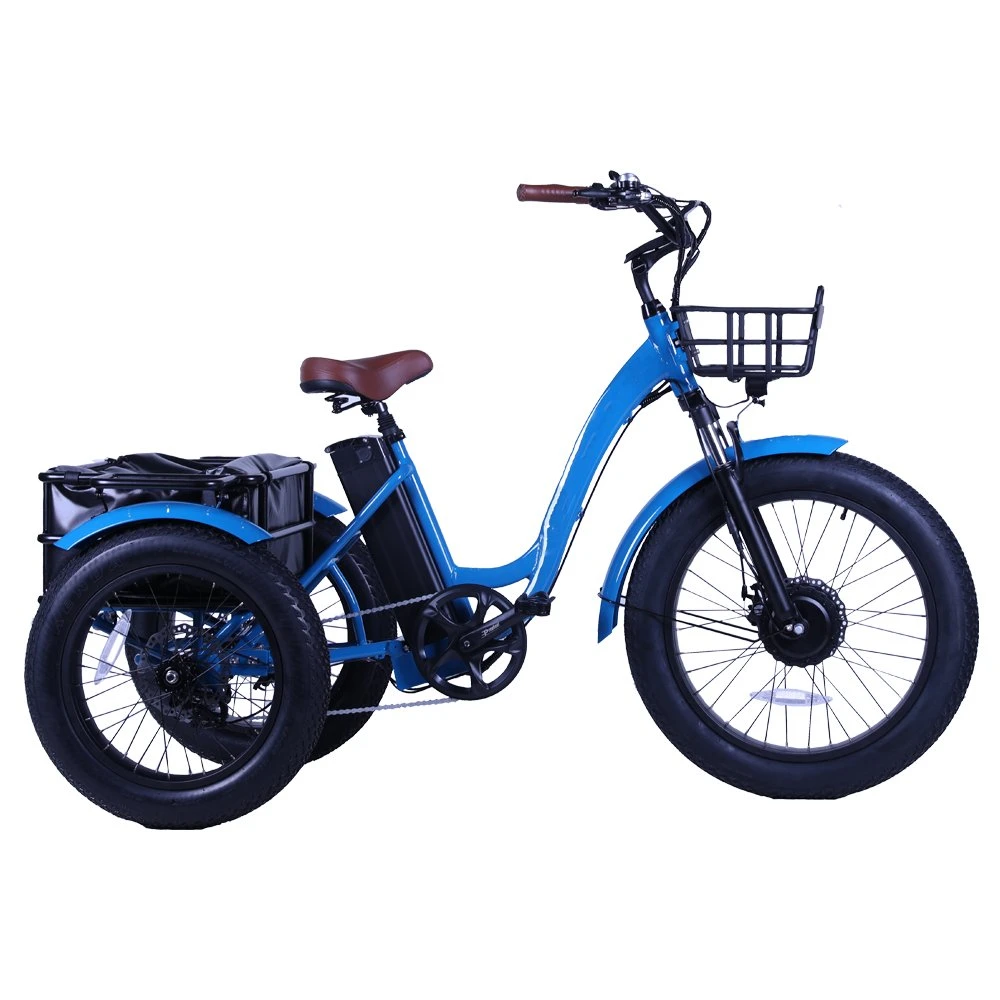 20inch Electric Cargo Bike Fat Tire Motorcycle Electric Tricycles E Trike with Basket