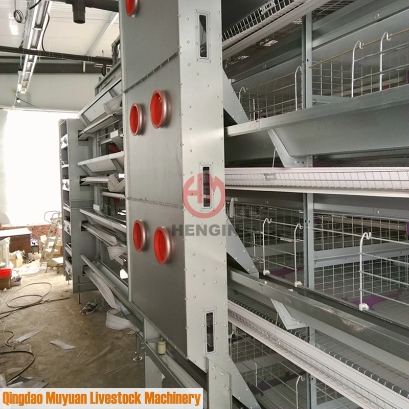 Poultry Farm Livestock Machinery for Chicken Layer House