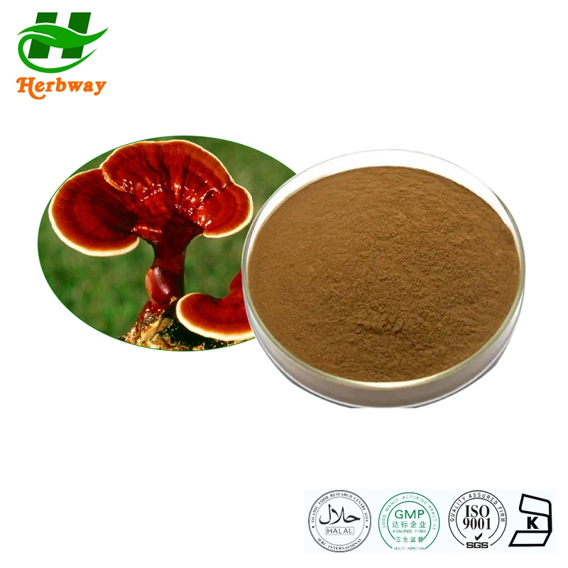 Herbway Reishi Extracto de setas Ganoderma Lucidum (Leyss ex Fr.) Productos para el cuidado de la belleza del extracto de karst para las mujeres