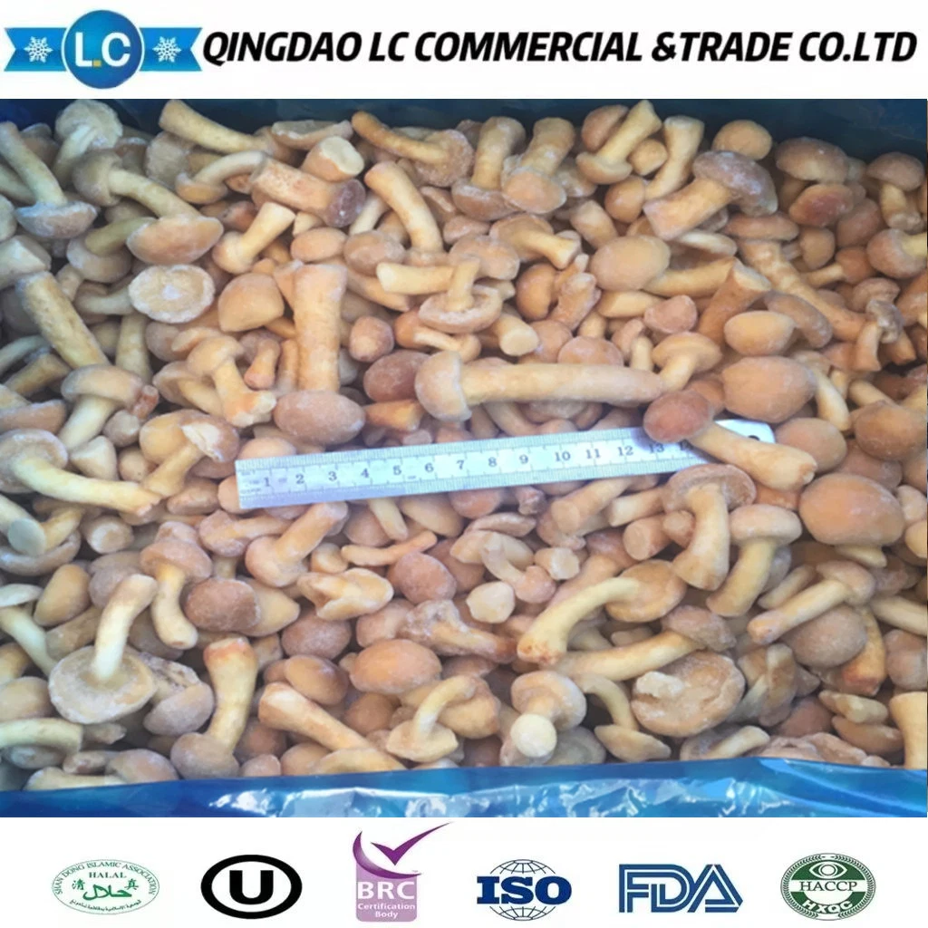 China vegetais congelados IQF Nameko Mushroom com Gap BRC ISO Certificados