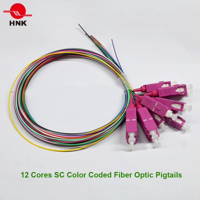 12 Cores Sc LC Sm APC Om3 Om4 Color Coded Fiber Optic Pigtail