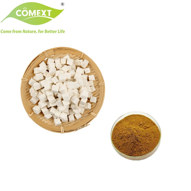 Comext Halal Kosher Tuckahoe Powder Poria Cocos Polysaccharides 30% 10%-50% Poria Cocos Extract