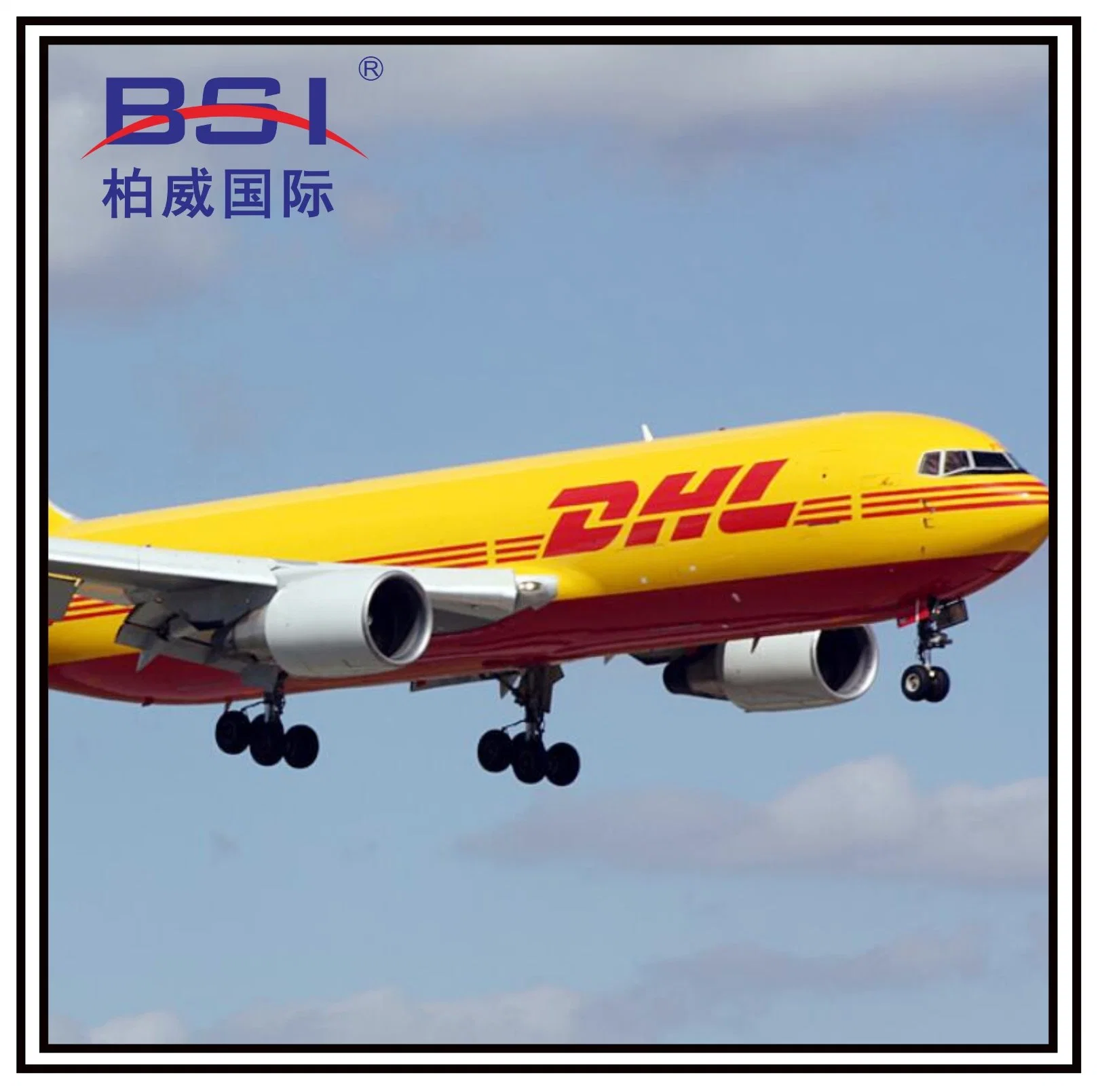 Seguro y rápido de China a Rusia Nt/dhl/UPS/FedEx Express