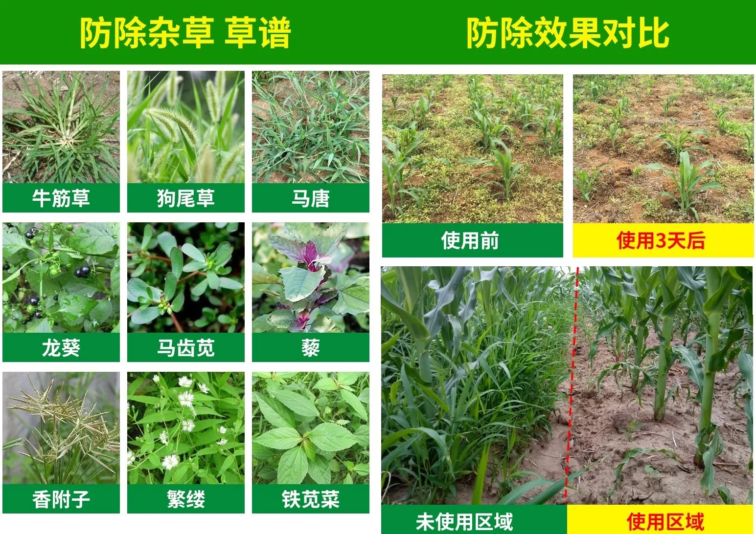 40% alachlor metolachlor  Atrazine SE Herbicide for corn field