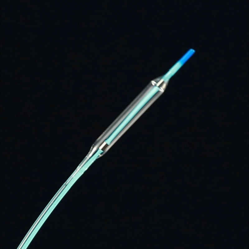 Pebax or Polyamide Ptca Balloon Dilatation Catheter with FDA