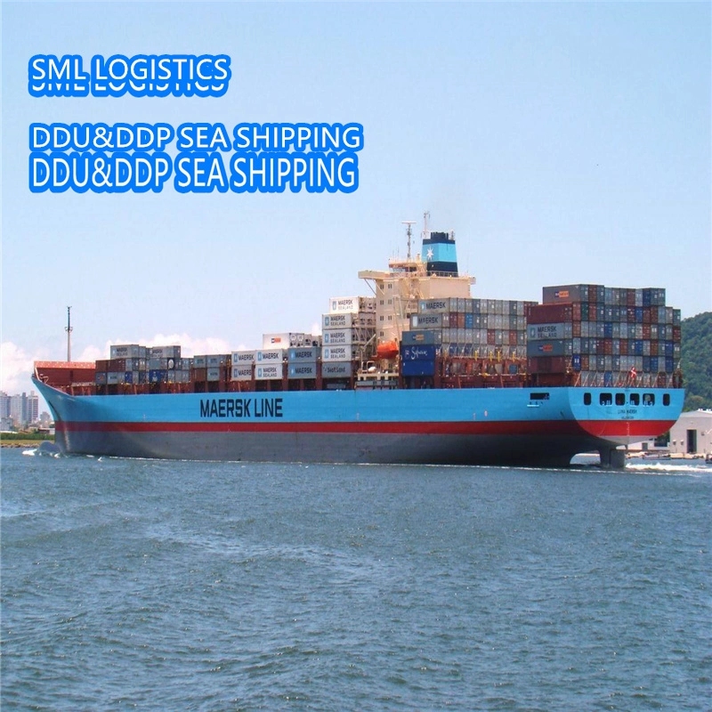 Le Transitaire/Agent aux USA/UK/Italie/France/Egypte/Koweït FBA Amazon Express Livraison par air/mer/Fret Fret/Shipping Container LCL en provenance de Chine DDP Service Logistique