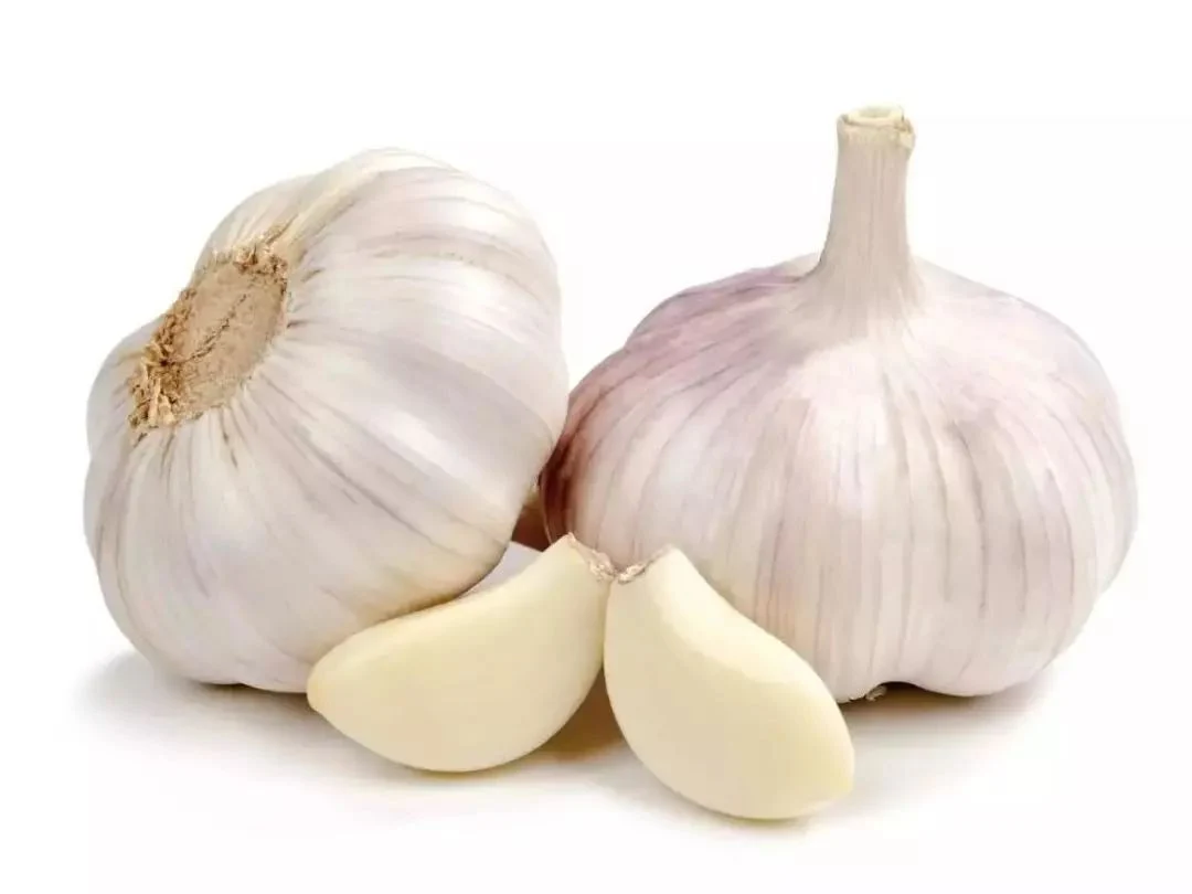 Garlic Red Garlic From Chinese Supplier High quality/High cost performance 