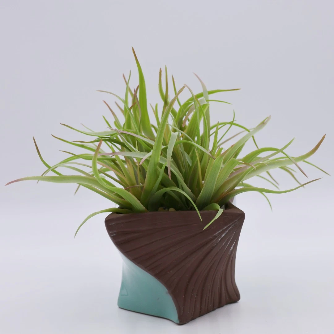 New Arrival Greenery Small Potted Artificial Plant Artificial Tree Plastic Plants Bonsai