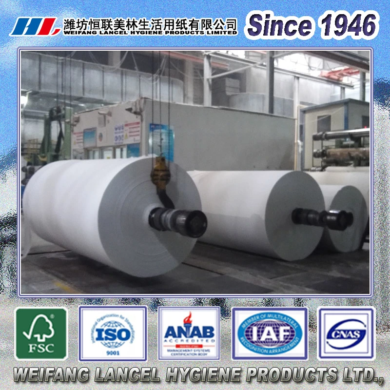 Fabrik Original Papierrolle und Jumbo-Rolle Toilettenpapiertoilet Tissue Manufacturers for USA Parent Jumbo Big Rolls Tissue Paper