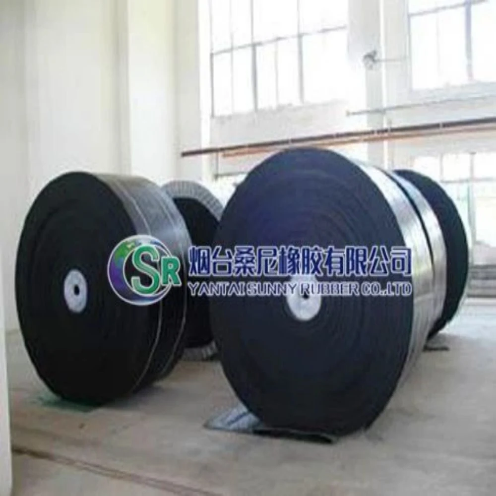 5m Wide China High Performance Rubber Filter Belt