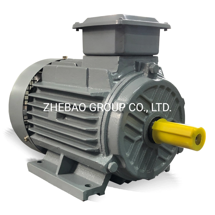 Ie3 High Efficiency Cast Iron Three Phase Induction AC Electric Motor