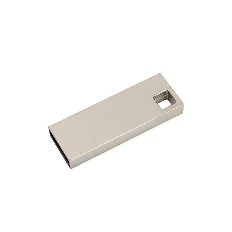 Mémoire clé USB 2.0 personnalisée en métal 32 Go Disque de type stylo-tige