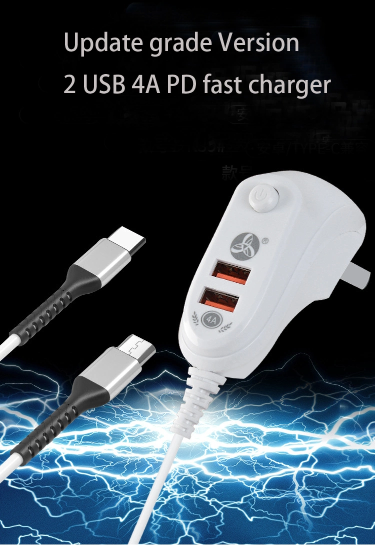 Retail and Wholesale/Supplier Private Design Pd Fast Charger Mobile Phone 2USB 4A Charger Micro USB, Type C and Lightning Charger Smart Charger