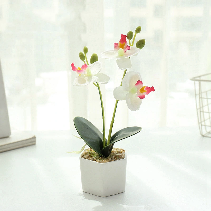 Wholesale/Supplier Factory Price Artificial Orchid Flower in Plastic Pot