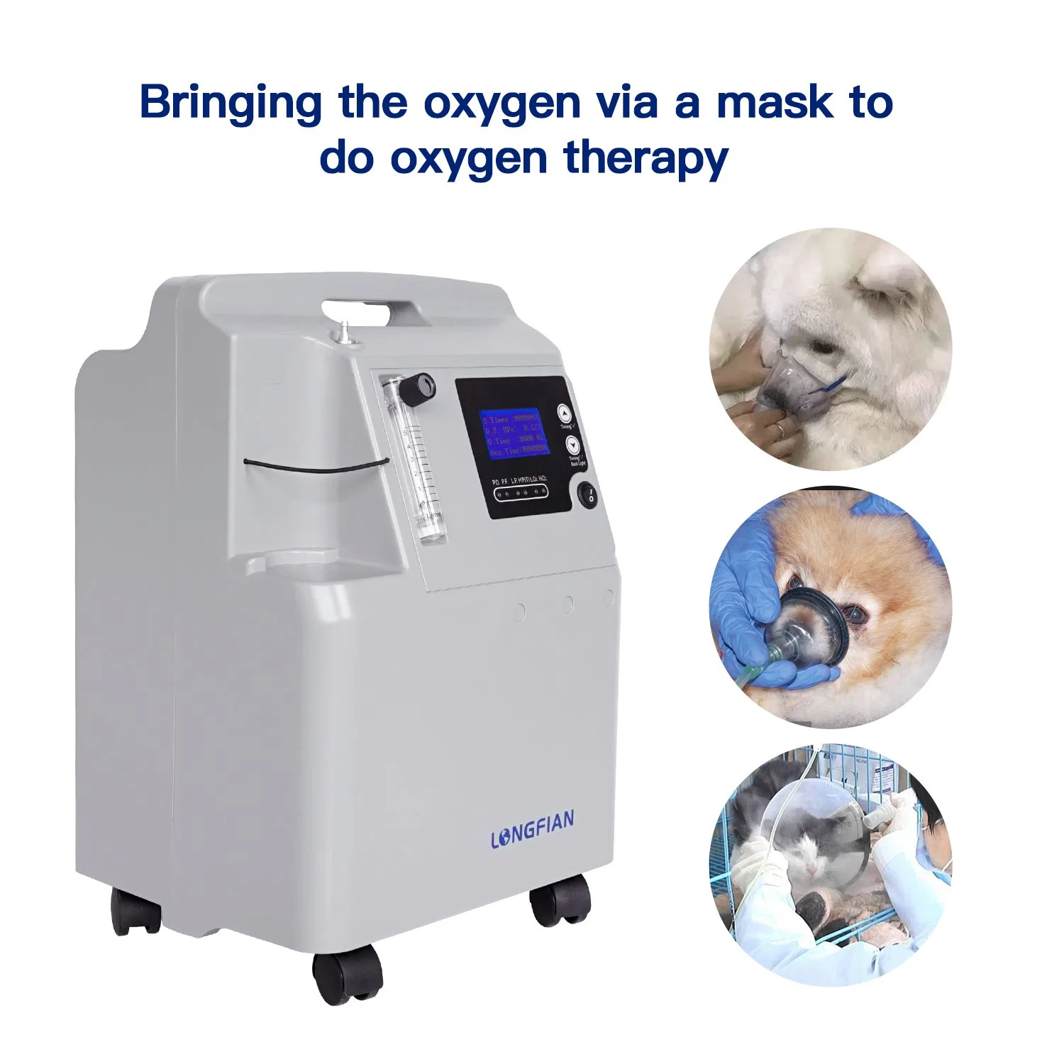 Veterinary laser therapy surgical equipment 5l oxygen concentrator for animal use