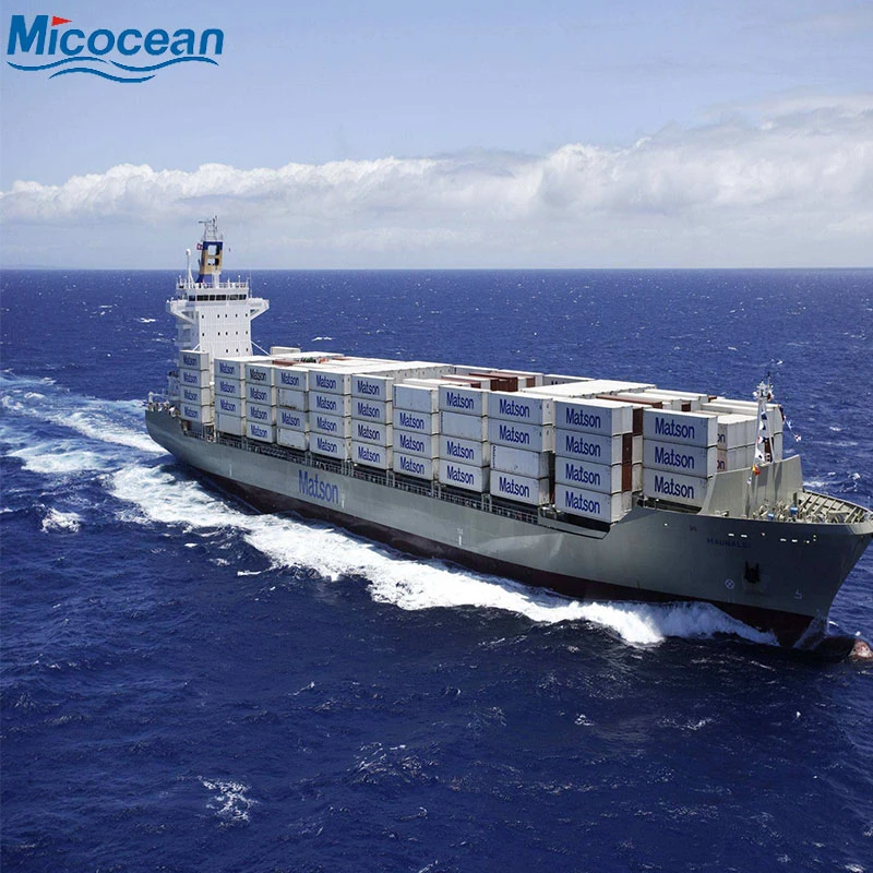 Logistik-Unternehmen Container Sea Shipping nach Uruguay, Venezuela mit Zollabfertigung