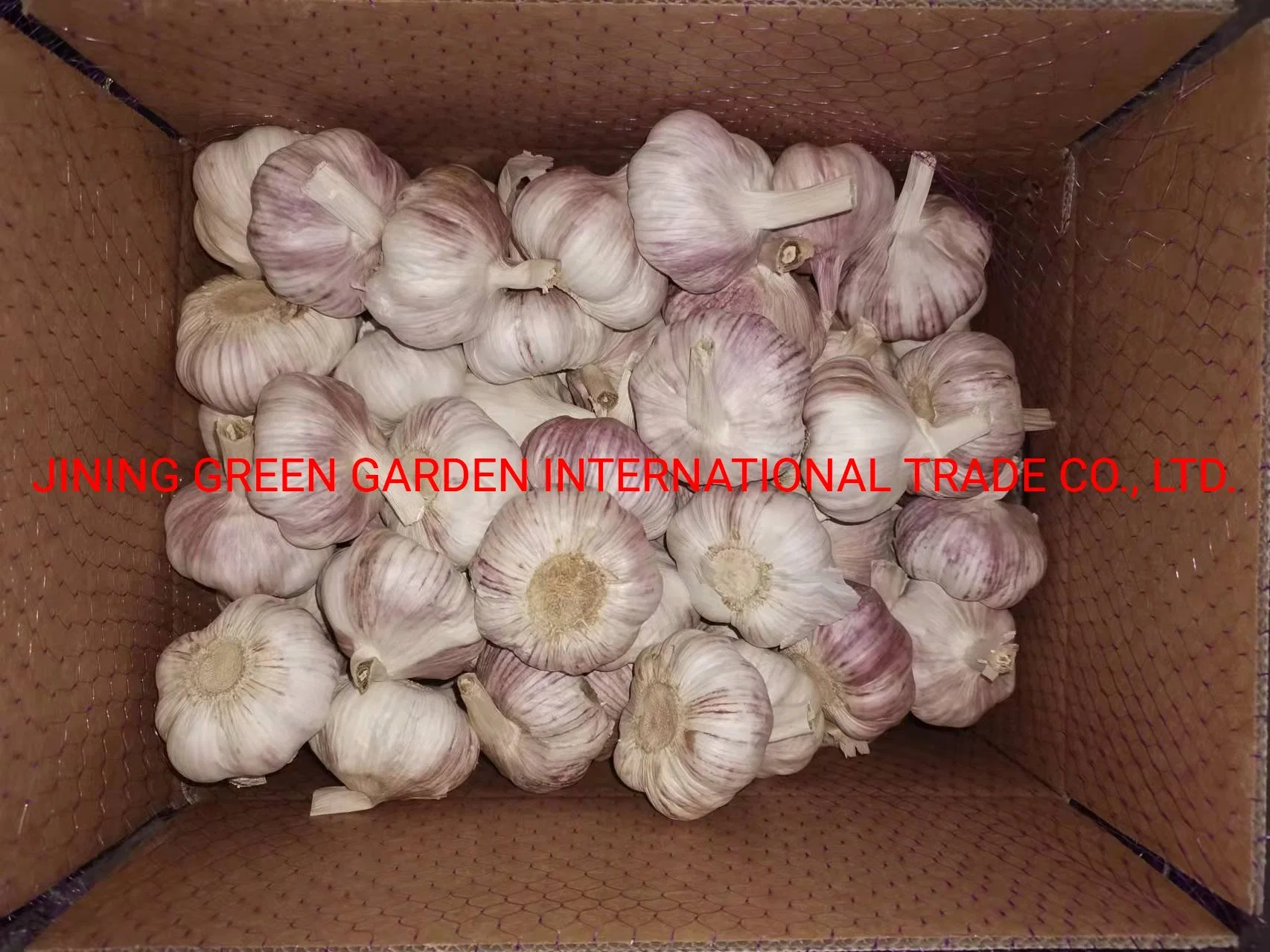 2022 New Crop Fresh White Garlic Farm, 2021 New Crop Mesh Bag Carton Pack by 3PC, 4PC, 5PC, 6PC, 7PC, 500g, 1kg, 3kg, 5kg, 10kg, 20kg Vary Size White Garlic