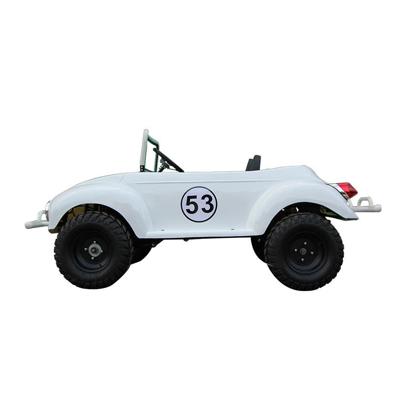 Suyang New Style 1500W Auto Quad ATV Outdoor Mini Beetle for Sale