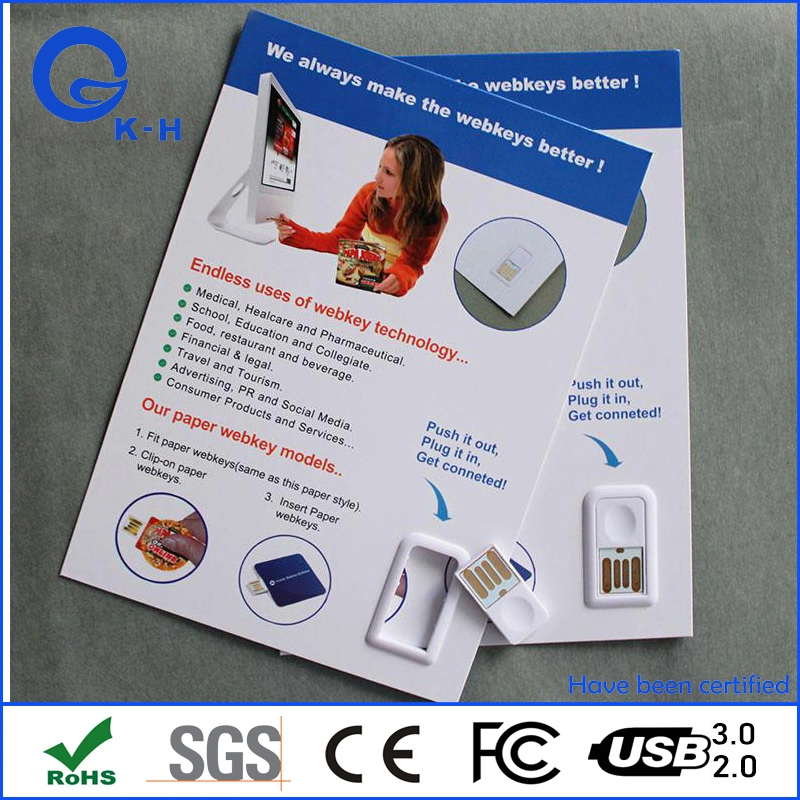 Customized Printing Advertising Paper Webkey USB Webkey Flyer