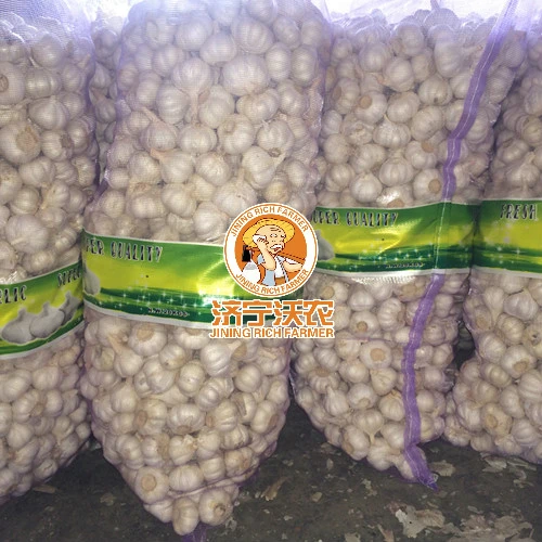 Chinese Best Fresh Natural Garlic Price