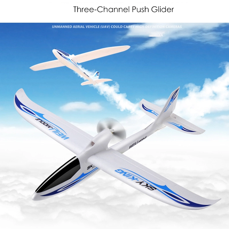 Wl Toys F959s 2.4G Aircraft Glider Radio Control Airplane RTF RC Plane