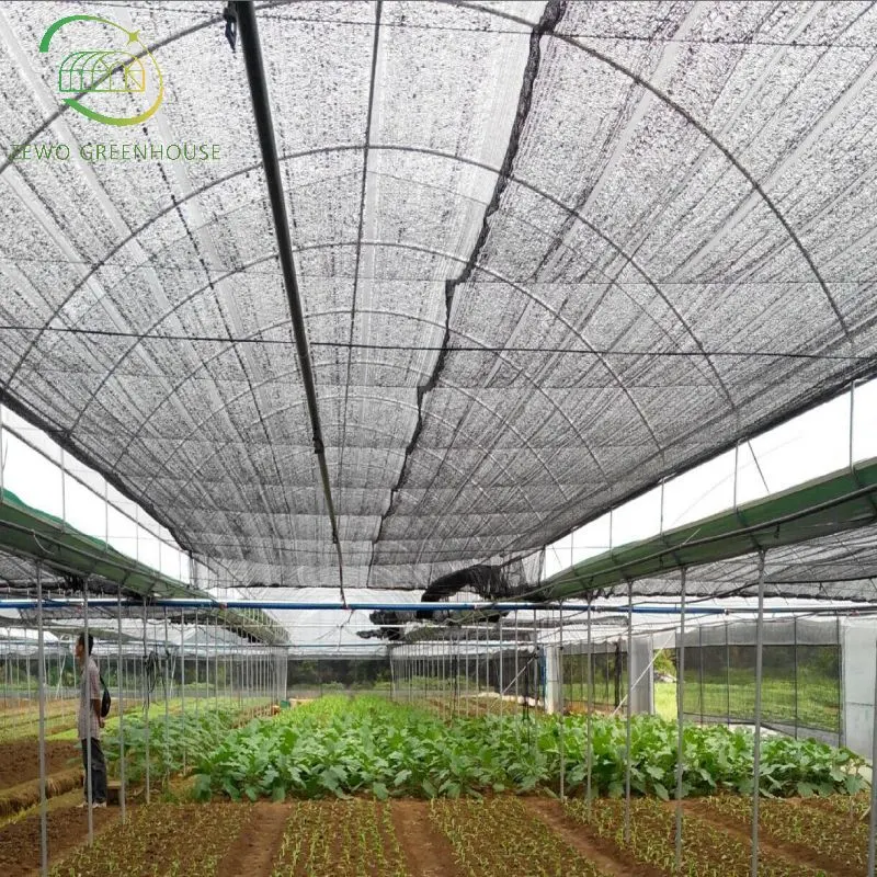 Low Cost Multi-Span Arch Modern Agricultual Greenhouse with External Shading System for Seedling Cultivation