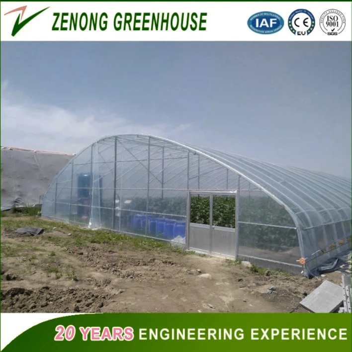 150/200 Micro Po/PE/EVA Film Covered Green House for Vegetables/Medical /Succulents Growing