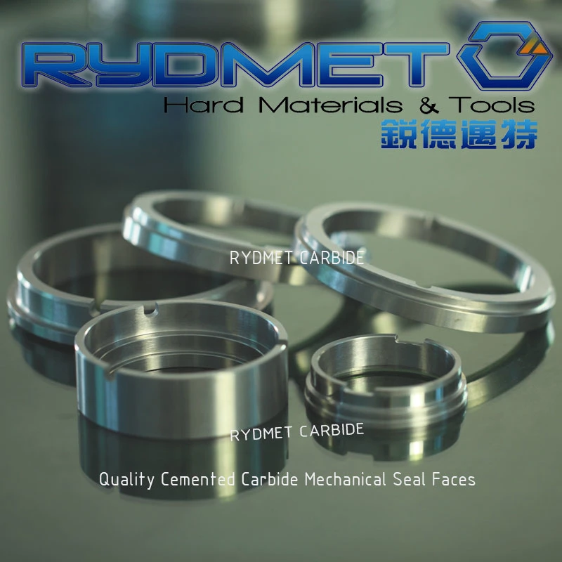 Rydmet Hartmetall Marine Shaft Seal Ring Wasserpumpe Dichtung