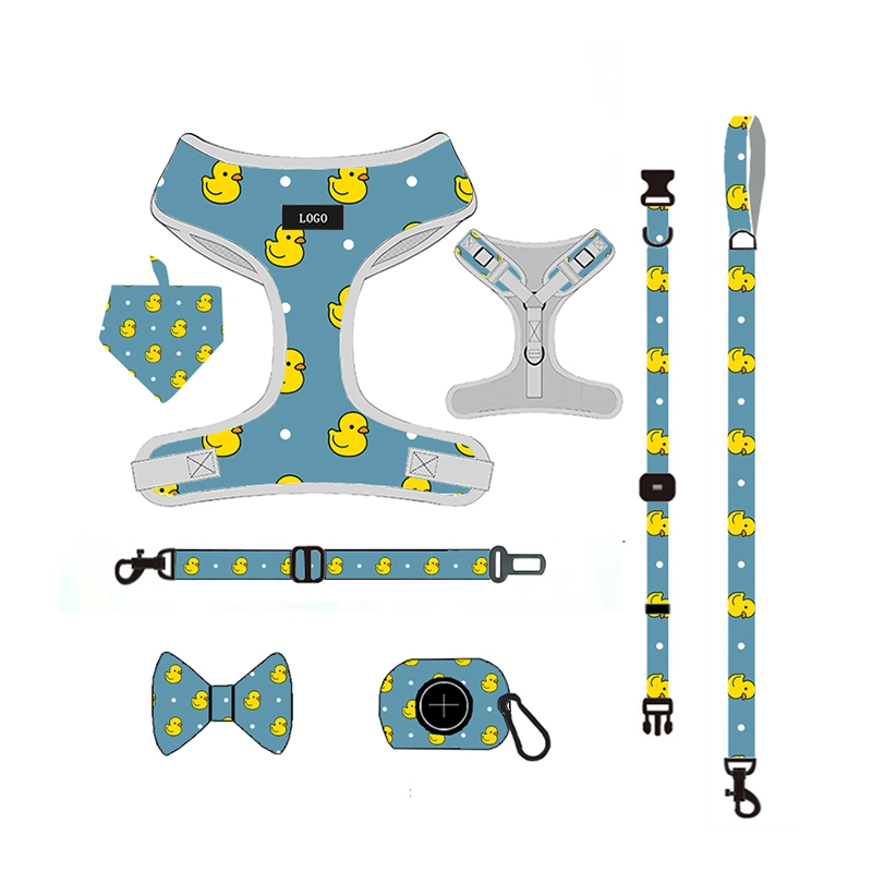 Professional Dog Harness Set Pet Accessories Wholesale/Supplier