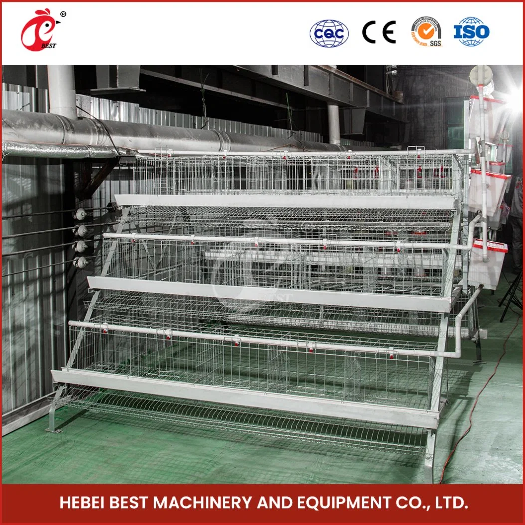 Bestchickencage Ordinary Type Layer Cage China Native Chicken Layer Cage Manufacturer ODM Custom Mature Galvanizing Process a Type Layer Cage