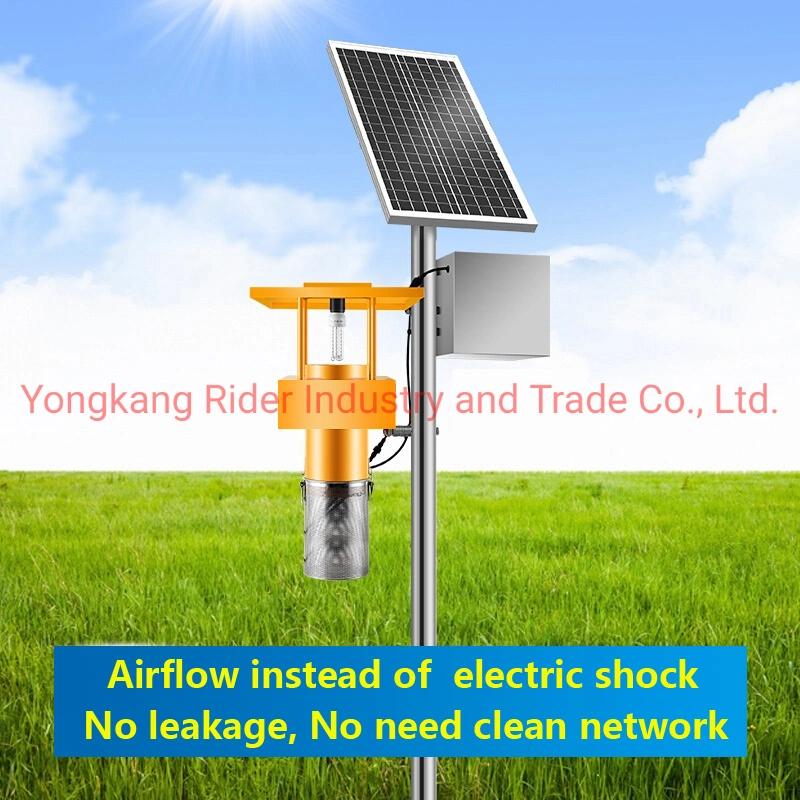 Ultraviolet Light Insect Trap Device for Hotel