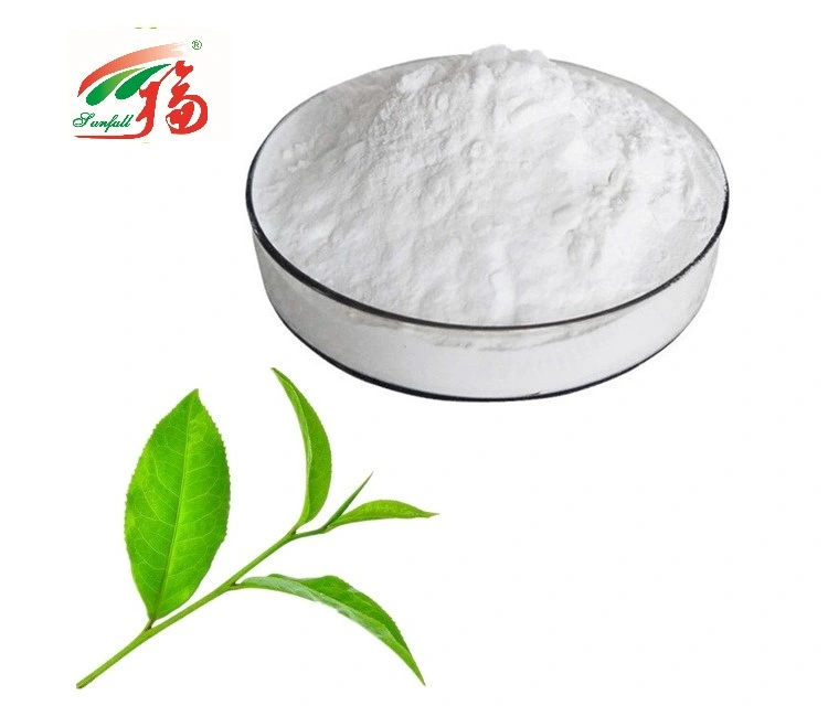 Green Tea Extract Epicatechin Ec 95% for Fitness