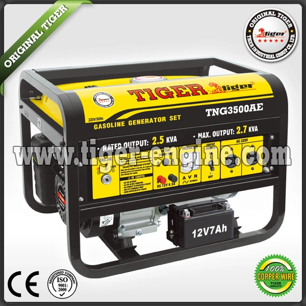 Top China Brand Tiger Electric Generator 100% Copper Wire Tng Series 2.0kw 2.5kw 3.5kw 4kw 5. Kw 6kw 7kw Petrol/Gasoline/Fuel. Homeuse. Hand/Auto Start CE