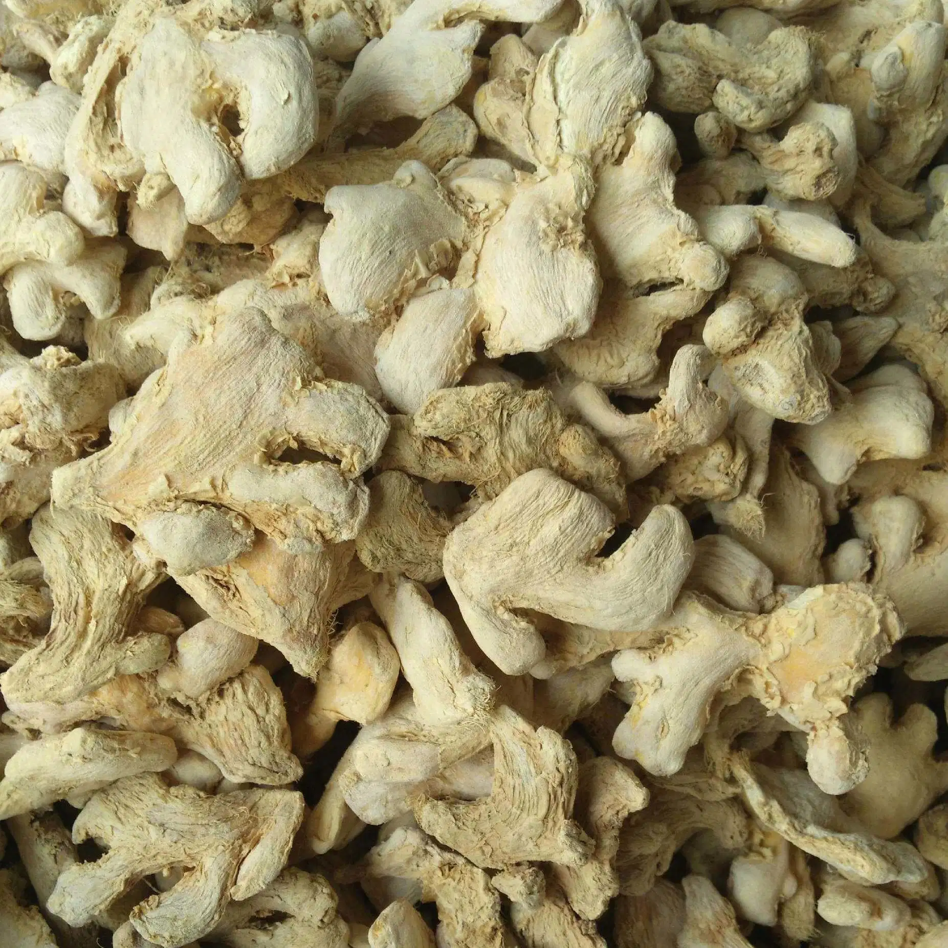 Chinese Herbal Medicine OEM Natural Dried Ginger Granules Shredded Ginger