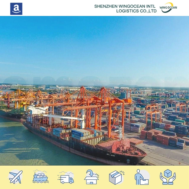 FCL LCL Sea Transport Shipping Cost From China to USA / Europe/ Africa/ Asia/ Australia/ Middle East/ South America