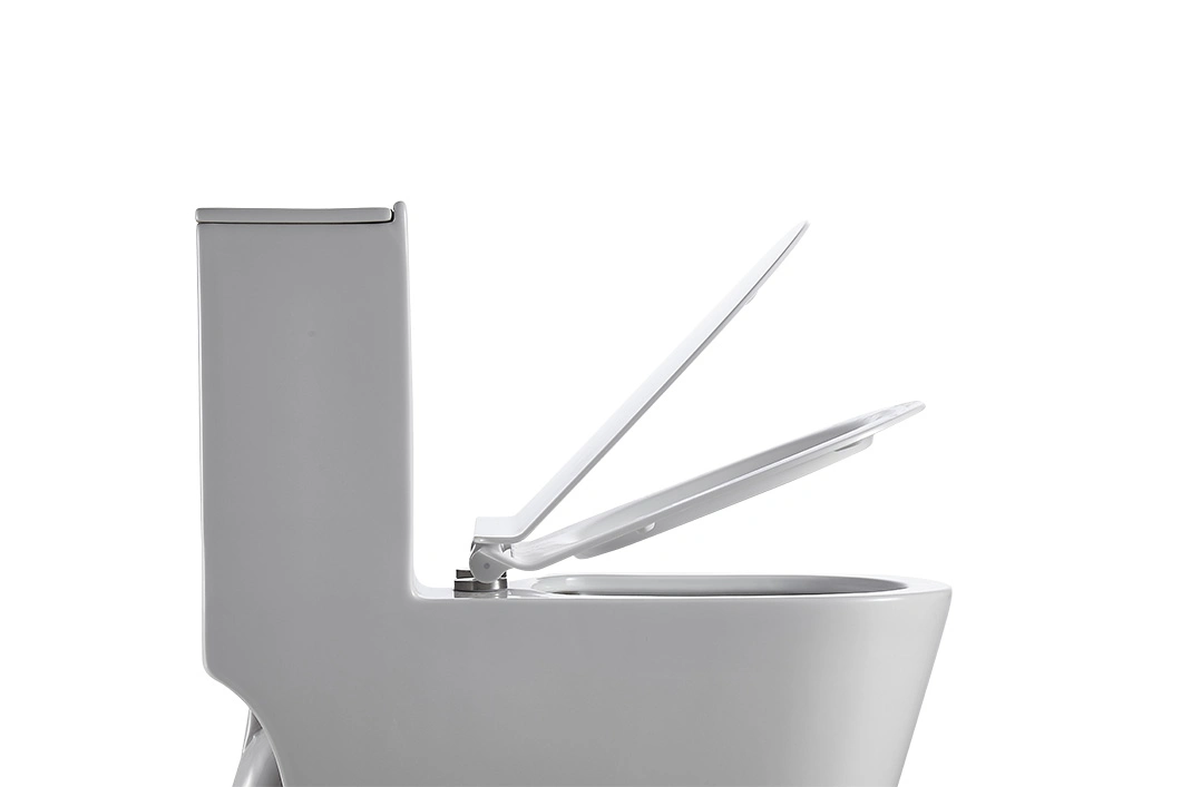 Superior-Quality Superior Flushing Dual Popular Model Hot Sale Product Siphonic Flush Ceramic Sanitary