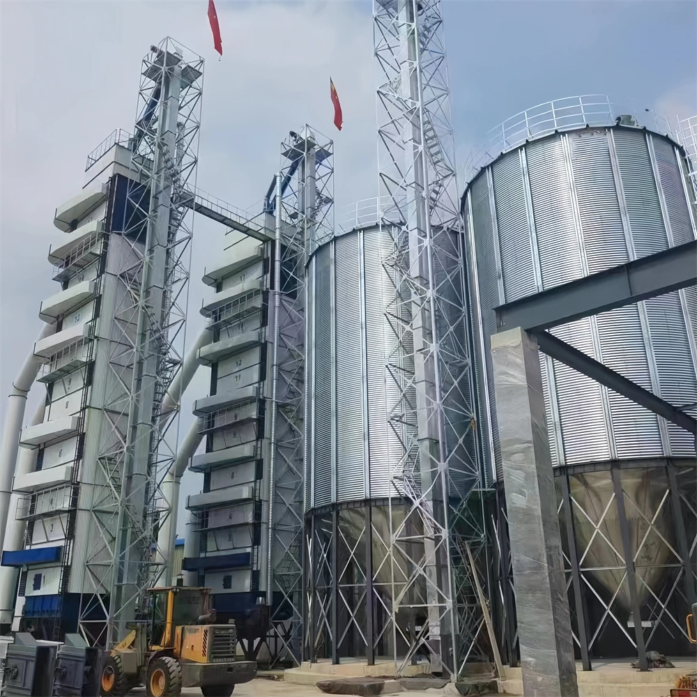 500t Galvanizing Steel Grain Silo for Paddy Storage