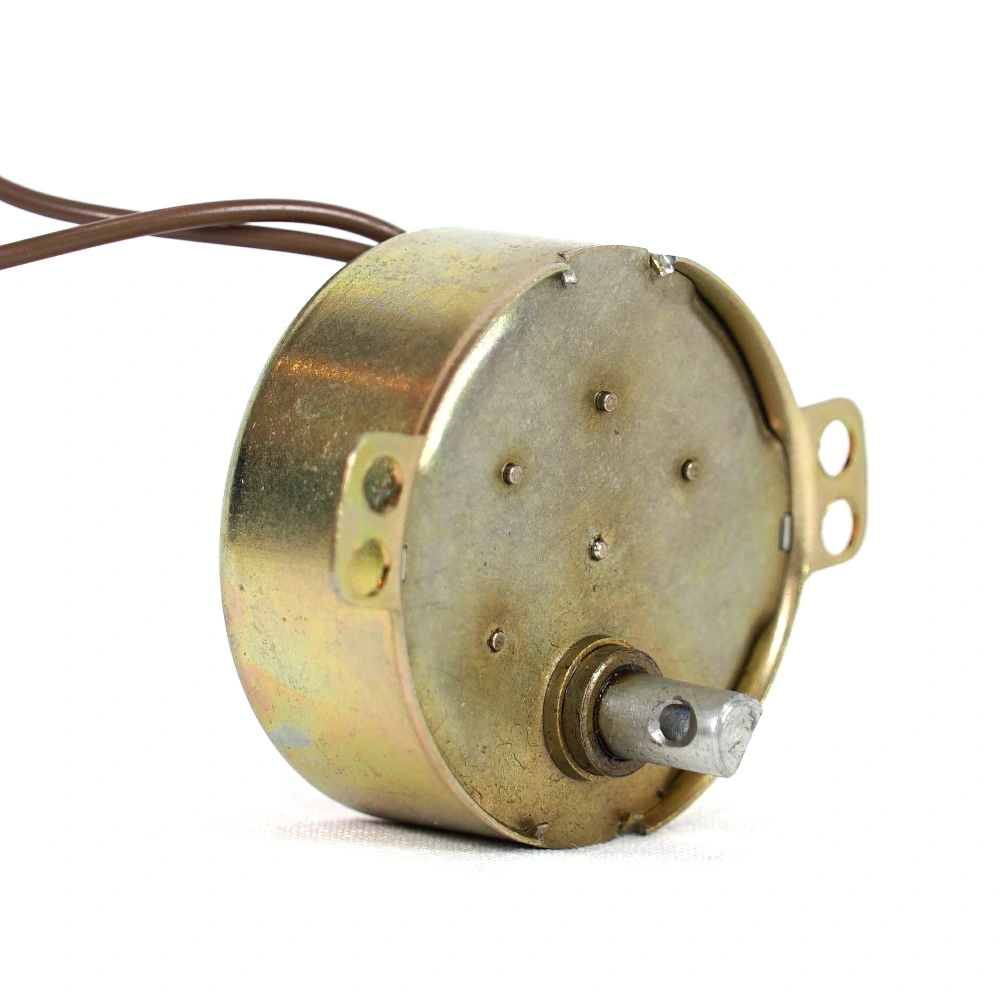 Low Speed Synchronous Motor for Indoor Monitor/CCTV Monitor