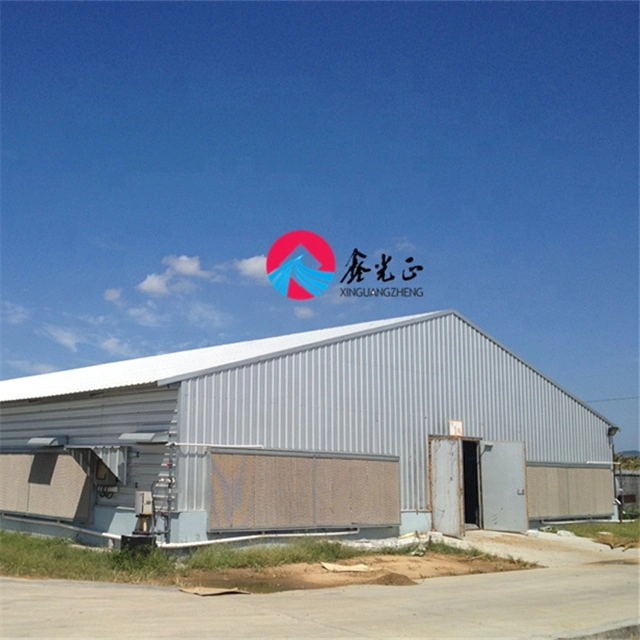 Light Best Material Steel Structure Chicken House and Equipment