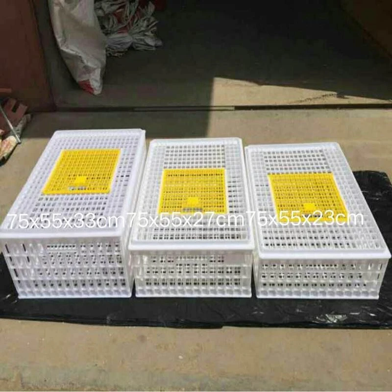 Colorful PE Raw Material Large Transport Basket Crate Box for Poultry Live Chicken Duck