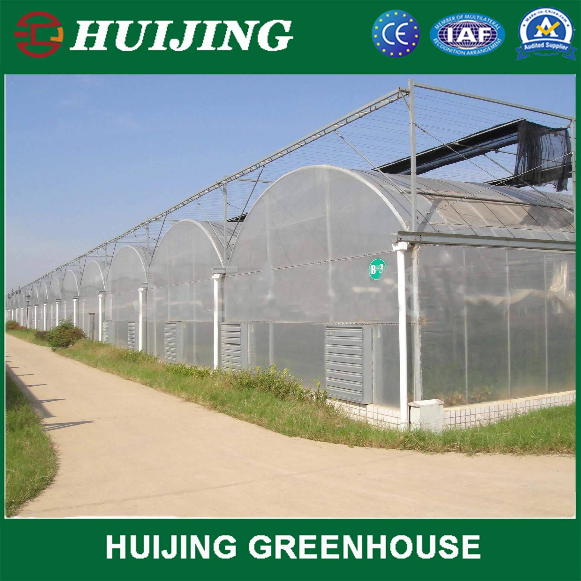 Barato Agrícola plástico película cubierta Multi Span Greenhouse para la venta