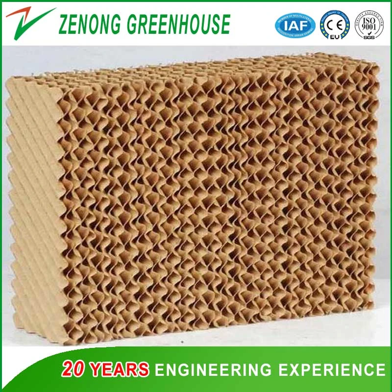 Corrugated Paper Wet Pad for Poultry/Agriculture Farming/Greenhouse Air Cooling Down