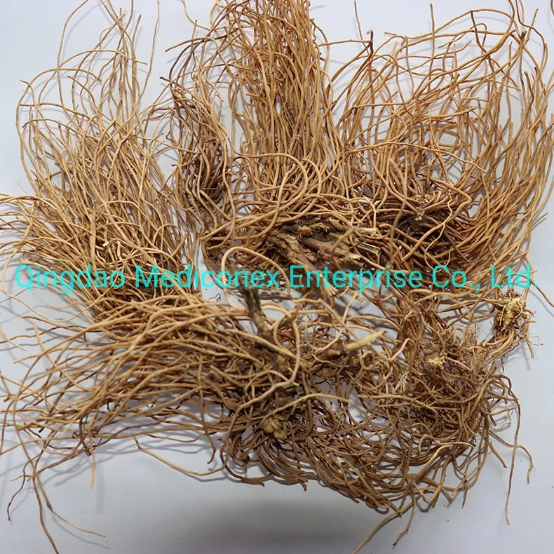 Cynanchum Atratum Root & Rhizome Plant Extract Prapared Traditional Chinese Herbal Medicine Fever