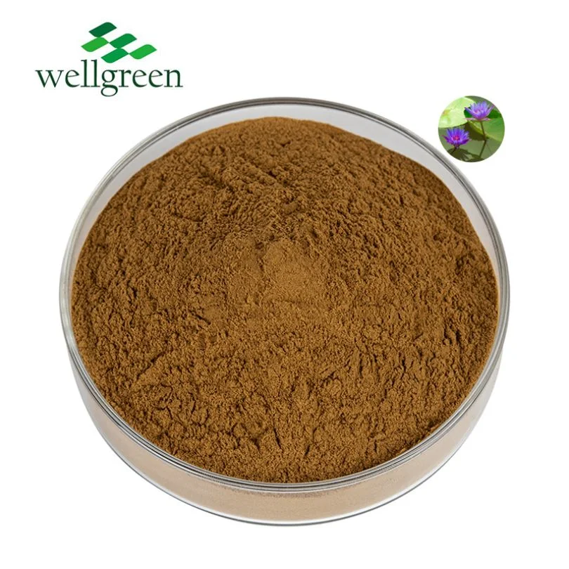 Nature Organic Nuciferine Nymphaea Caerulea Super Potent Flower Leaf 100: 1 Blue Lotus Extract